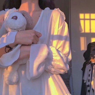 盗贼泰瑞莎